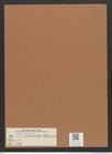 Navicula sinuata Schum. (de-Toni-Nr.: Genus 1, Species 549) Zeichnungen Sammlung Grunow Mappe 00473 (Herbarium_W_Grunow_drawings_Folder_00473)